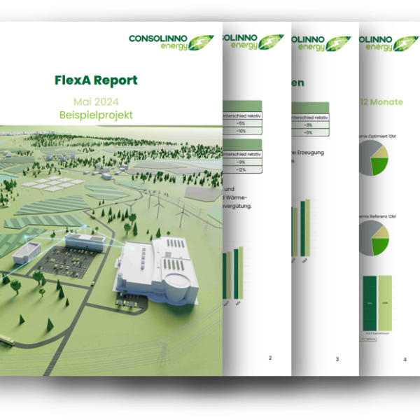 Axis FlexA-Report